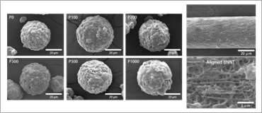 유기전자소자-5