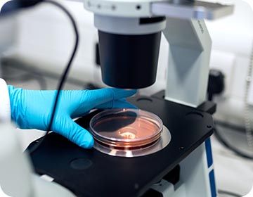 나노물질특성-bg