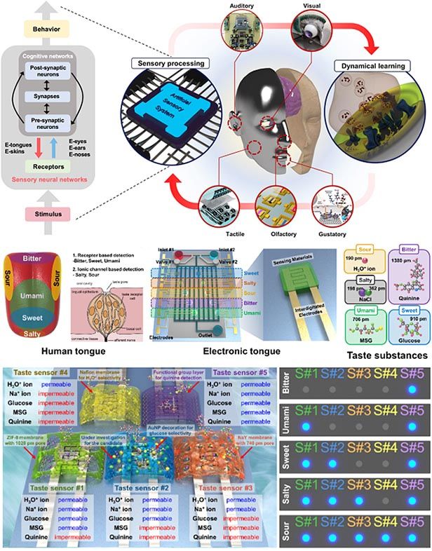 저차원반도체소자-img