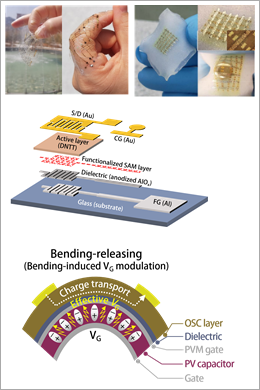 유기전자소자-1